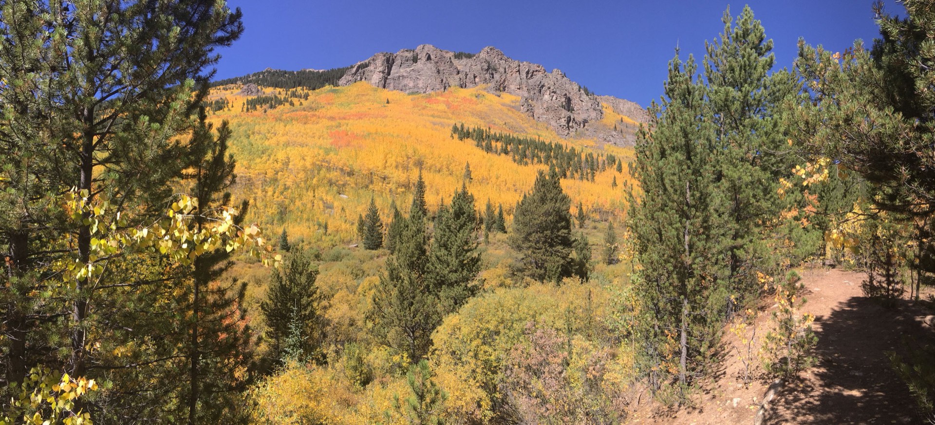 Rocky mountain trail and golden aspens photographed by Cody Robertson